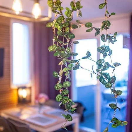 Superbe - Terrasses - Clim - Parking Prepaye Apartment